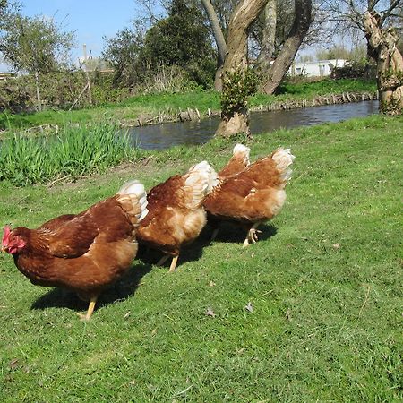 Bed&Brood De Straverdonk Graft Exterior foto