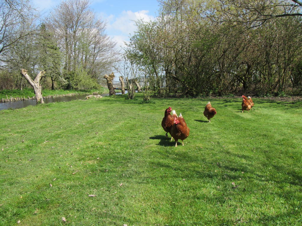 Bed&Brood De Straverdonk Graft Exterior foto